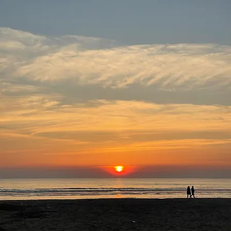 Sun&see